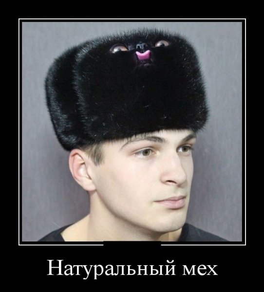 Норковая шапка прикол