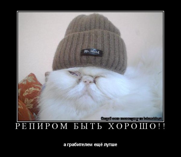 Без шапки прикол