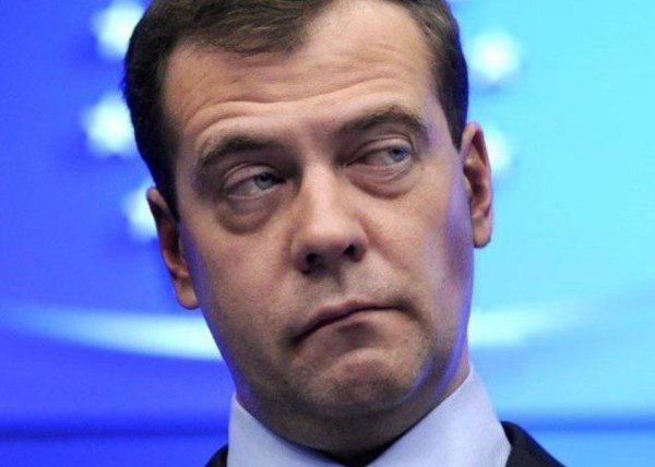 Медведев Дмитрий Анатольевич мэм