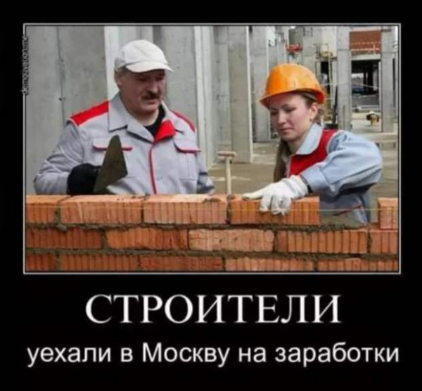 Собака в строительной каске