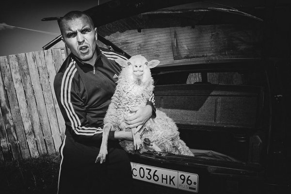 Криминал смешные картинки