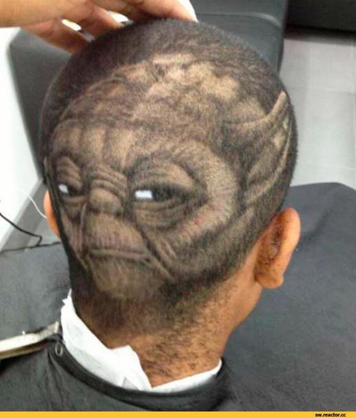 Подстригли прикол