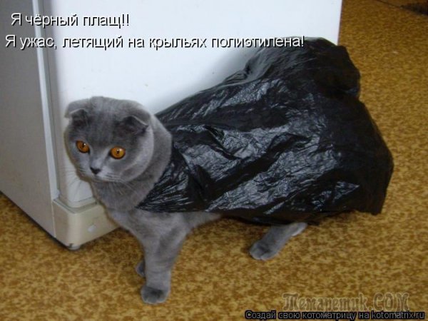 Этому городу нужен новый герой