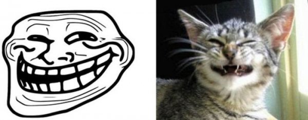Мемчик с котом