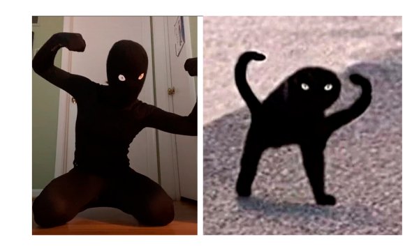 Черный кот Мем