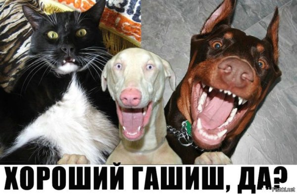 Угар с надписями