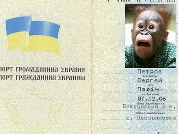 Смешные паспорта