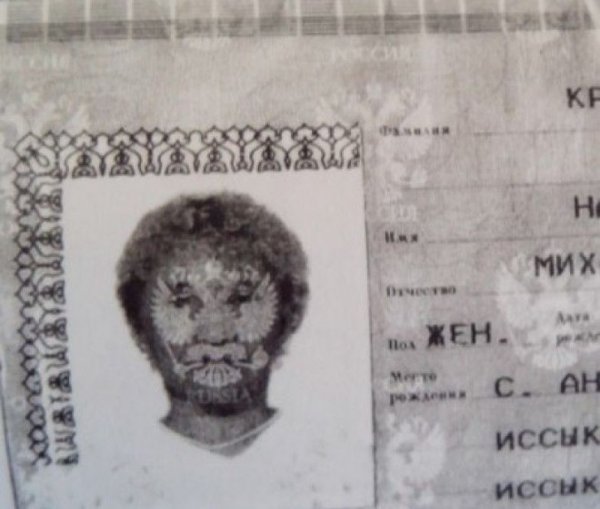 Прикольные ксерокопии паспортов