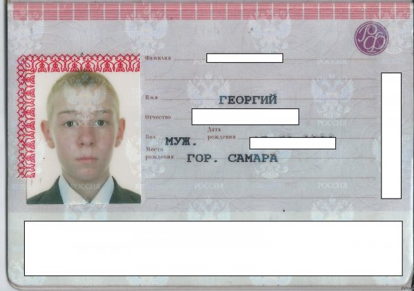 Паспорт РФ смешные