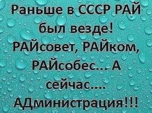 Смешные цитаты