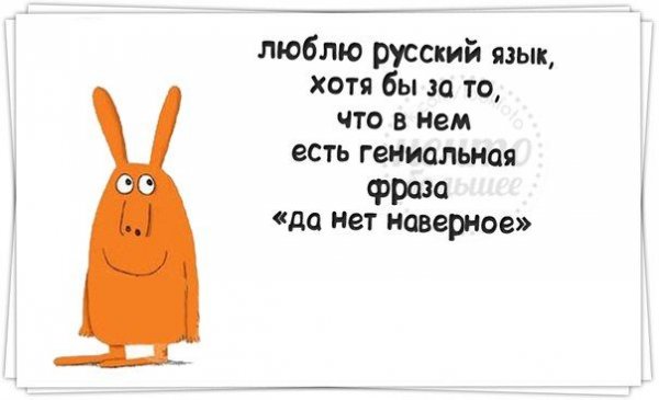 Смешные выражения