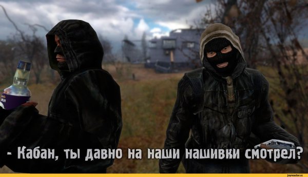 Бандиты сталкер смешные