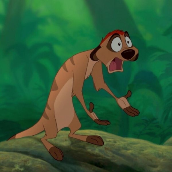 Король Лев Тимон