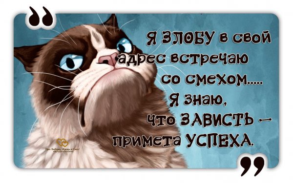 Прикольные высказывания о любви