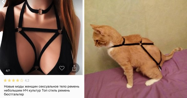 Лифчик с АЛИЭКСПРЕСС ожидание реальность