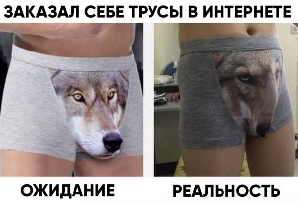 Трусы с волком реальность