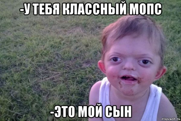 ХОЛДИК БРАВЛ
