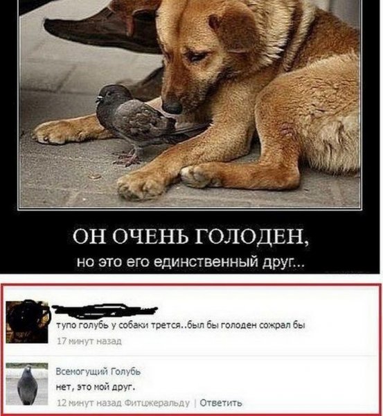 Смешные комментарии под фотографиями