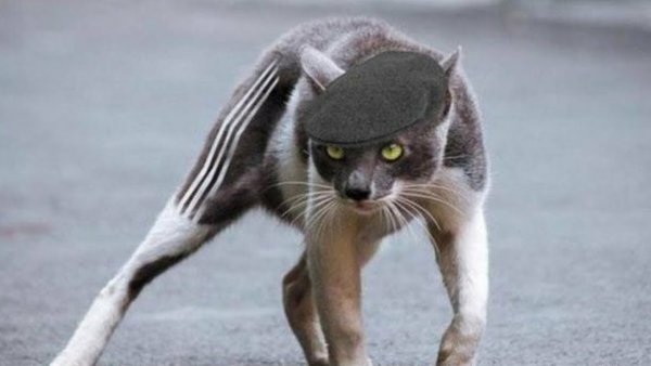 Гопник на кортах