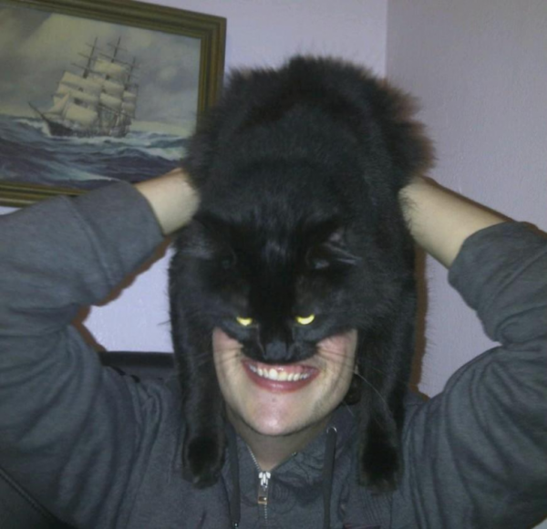 Кот на голове Бэтмен