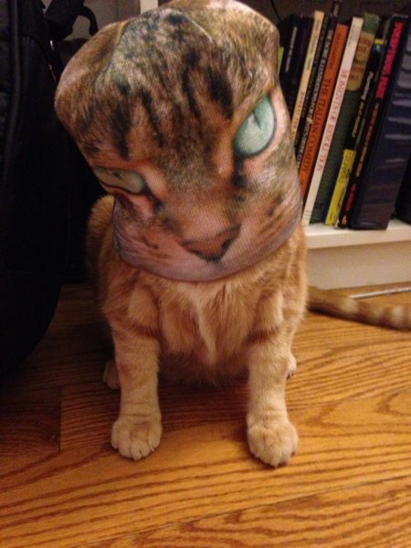 Кошачий ржач