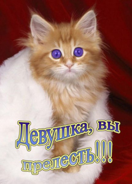 Открытка красивой девушке комплимент