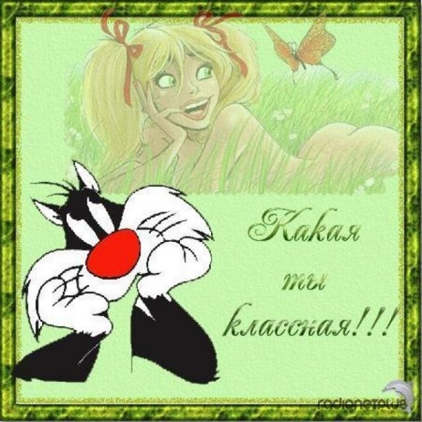 Смешные открытки для девушки