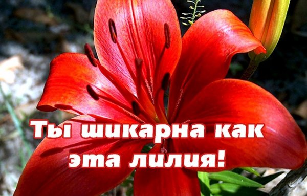 Картинки похвала прикольные