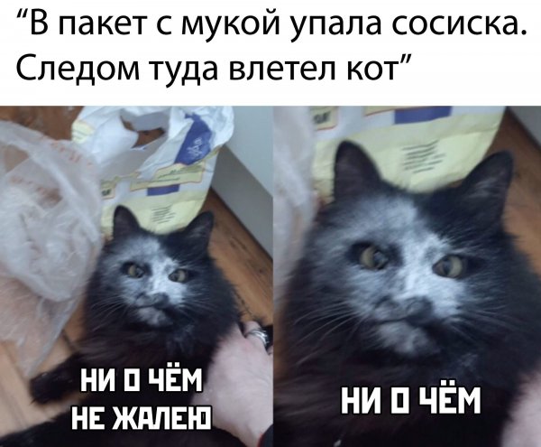 Неудачные моменты