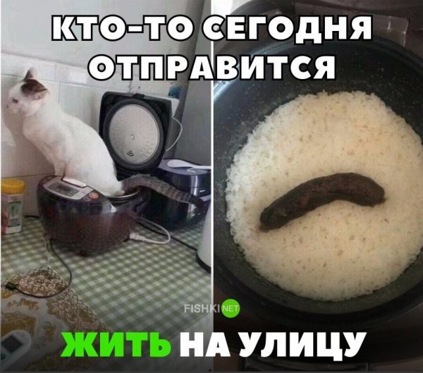 Толстые девушки в аквапарке