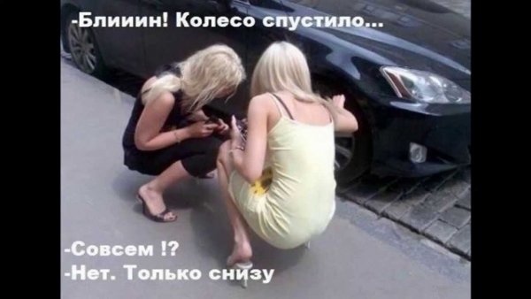 Толстая девушка на трассе