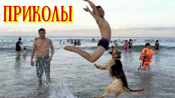 Ржака до слез картинки