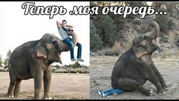 Ржачные картинки приколы для ватсапа