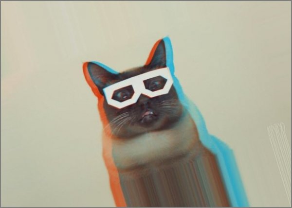 Собака рэпер