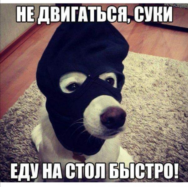 Угарные приколы
