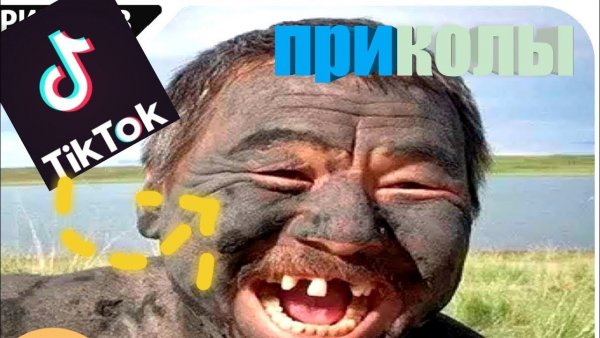 Смешные авы для тик тока