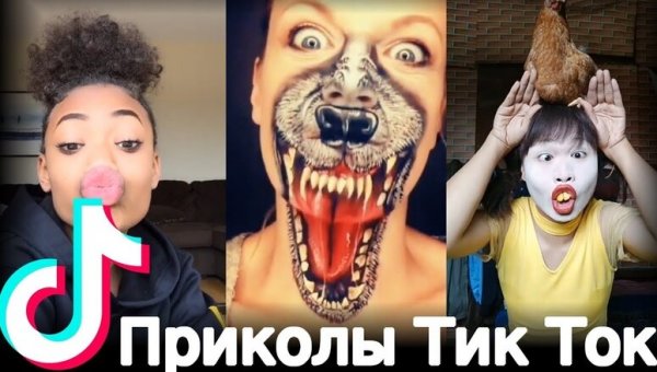 Тик ток приколы