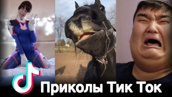 Тик ток приколы