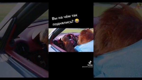 Мем 2020 тик ток