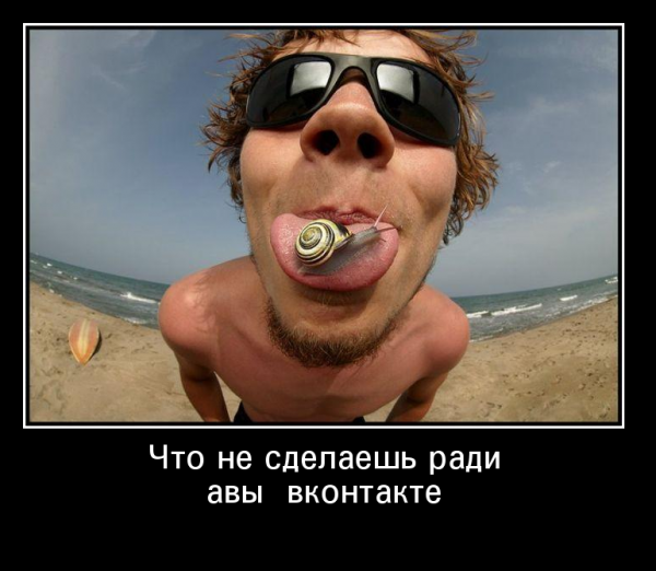 Ржачная ава для ВК
