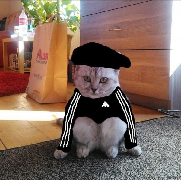 Гопник на кортах