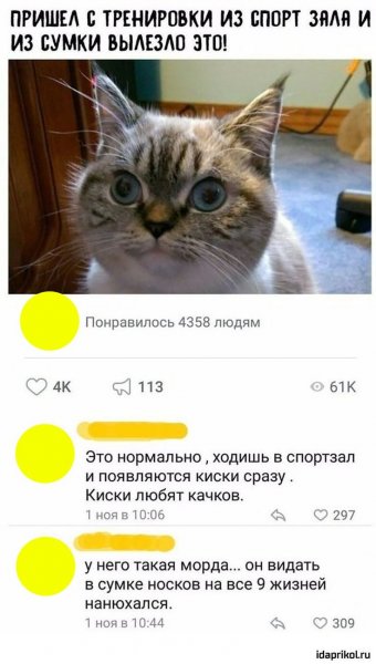 Приколы из инстаграмма с надписями
