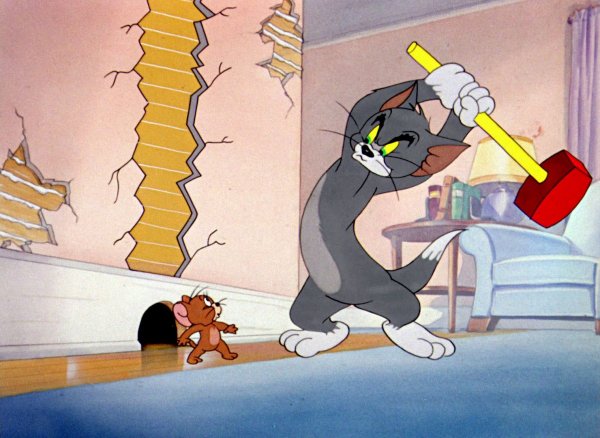 Tom Jerry мультфильм