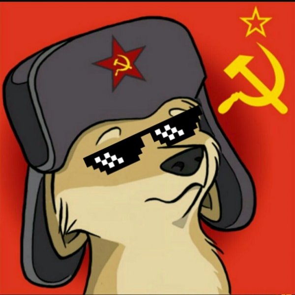 Собака на аву в стим
