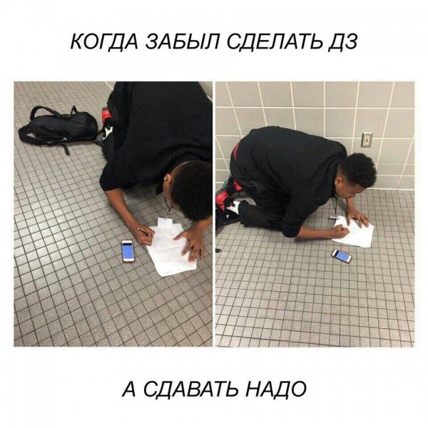 Школа прикольные