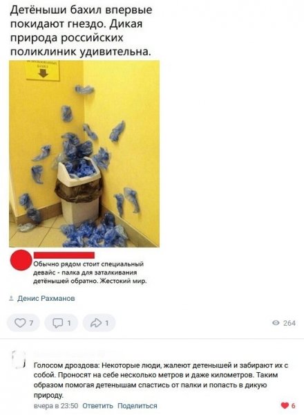 Прикольные картинки с комментариями