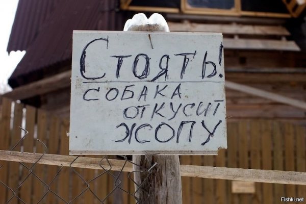 Смешные картинки с надписями