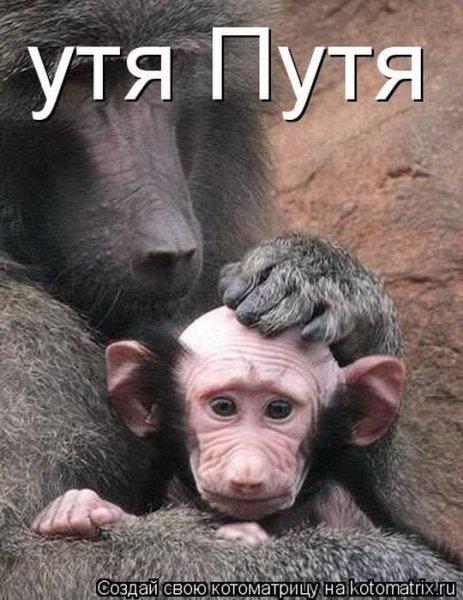 Посетители зоопарка ласково зовут его Владимир Владимирович