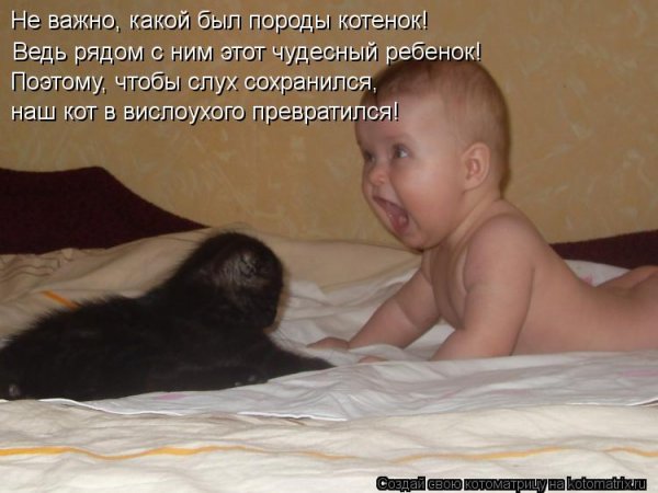 Смешные дети с надписями