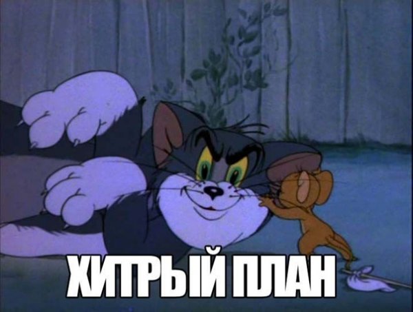 Том и Джерри в реальной жизни